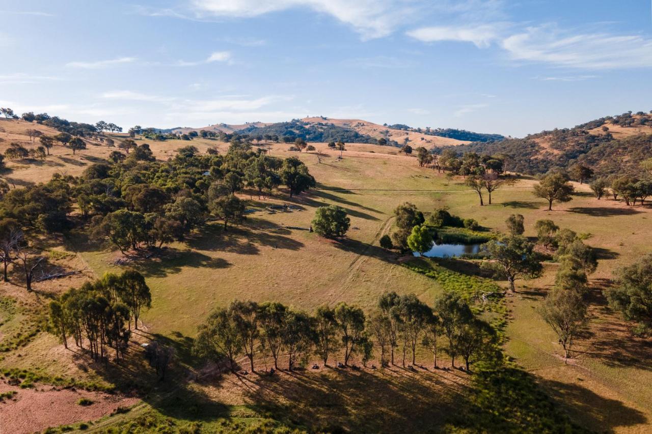 Gaddleen Grove Cottages Wodonga Exterior foto
